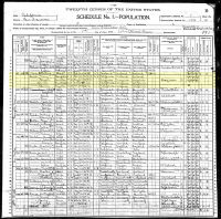 1900 Census Record California, San Francisco