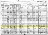 1920 Census Record Illinois, East St Louis