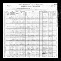 1900 Census Record Missouri, Lawrence County, Aurora Township