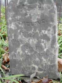 Tombstone - Emeline Carter (wife of W.H.H.)