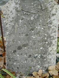 Tombstone - Sarah 'Sallie' Riley Carter, Mother of W.H.H.