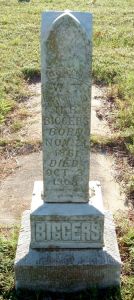 Tombstone - William Thomas Biggers, White Chimney Cemetery, Pittsburgh County, Oklahoma