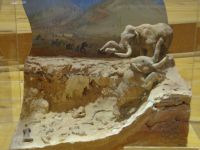 Hot Springs, South Dakota -Mammoth Site-Replica of 60 foot deep sink hole trapped 59+ Mammoths