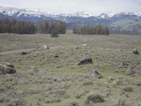 Yellowstone - more 'oddities' - rocks thrown by the super volcano