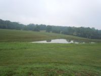 Kinsey Angus Cattle Farm