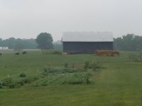 Kinsey's Angus Cattle Farm
